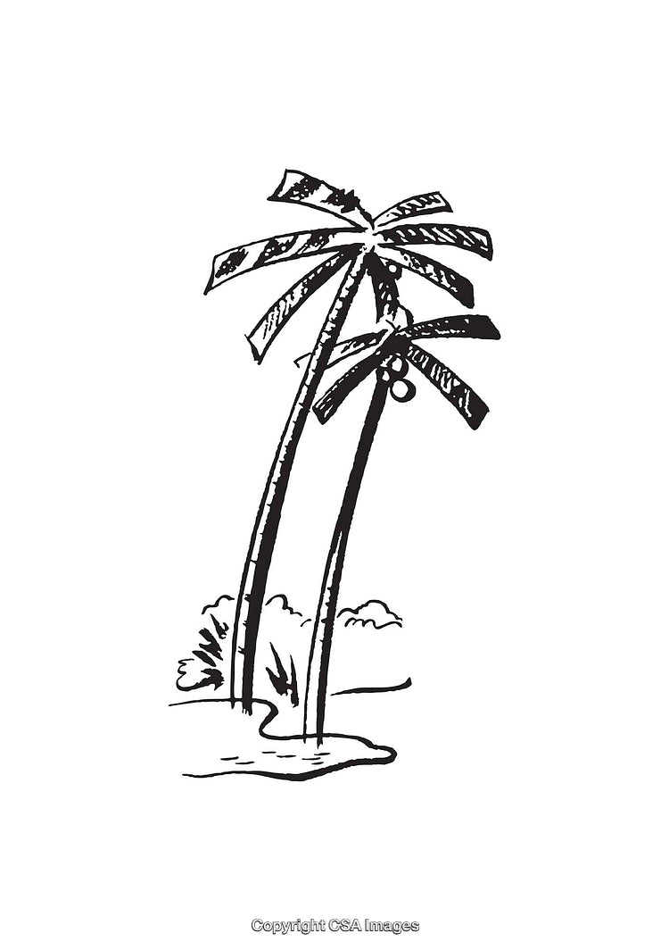 Black and White Line Art of Two Tropical Palm Trees
