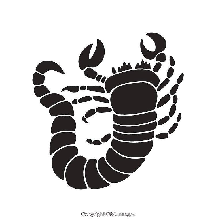 Black And White Stylized Scorpion Line Art Illustration Isolated On White