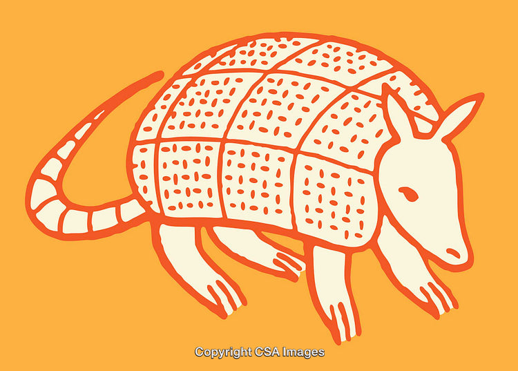 Colorful Armadillo Line Art Illustration on Vibrant Background
