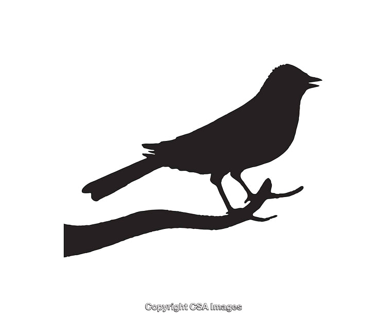 Black Silhouette of Bird Perched on Branch in Artistic Vector Style