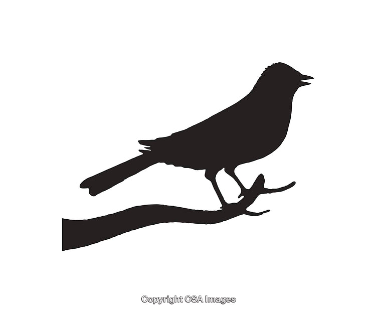 Black Silhouette of Bird Perched on Branch in Artistic Vector Style