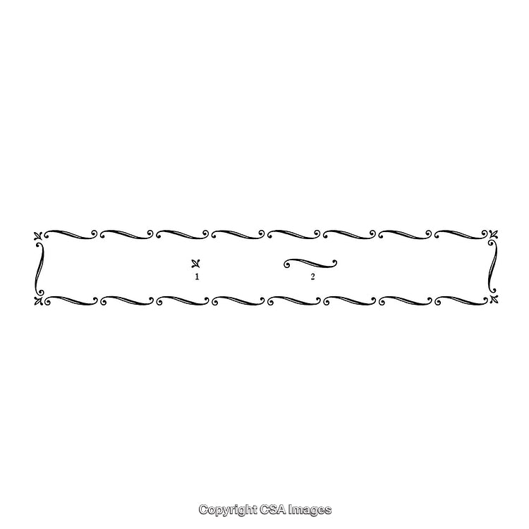 Elegant Black And White Decorative Flourish Border Design With Ornamental Details