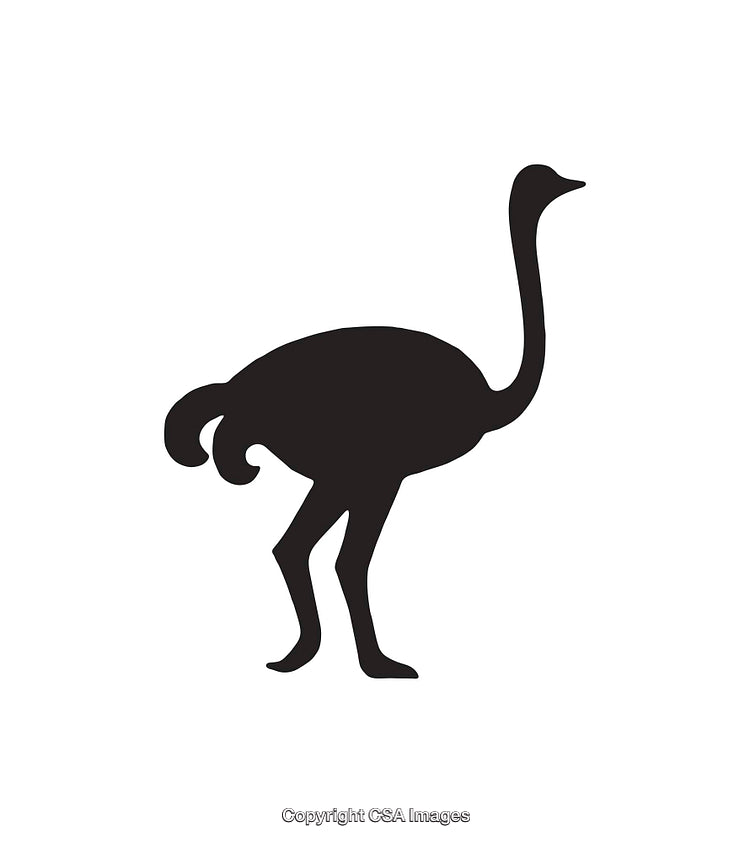 Silhouette of an Ostrich Icon in Black and White Style