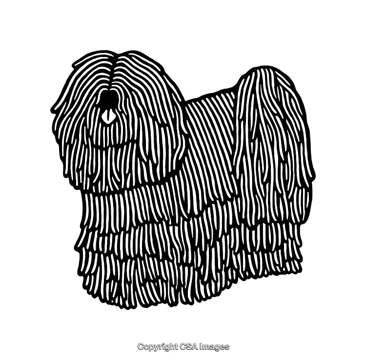 Black and White Line Art Illustration of a Shaggy Dog