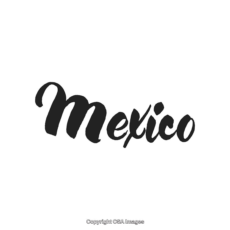 Stylized Brush Script of the Word Mexico in Black on White Background