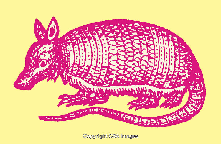 Colorful Line Art Illustration of Armadillo with Bright Patterns on Yellow Background
