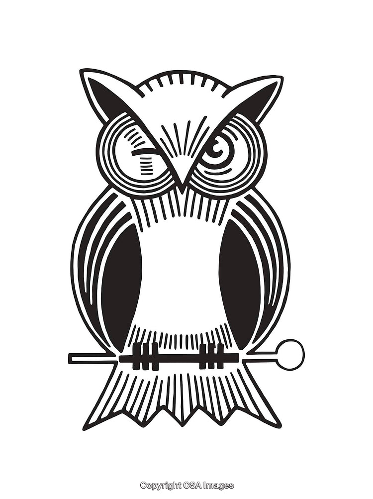 Black and White Stylized Illustration of an Owl on a Perch