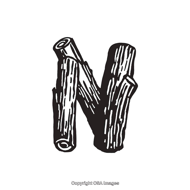 Wooden Style Letter N Illustration with Rustic Design Elements