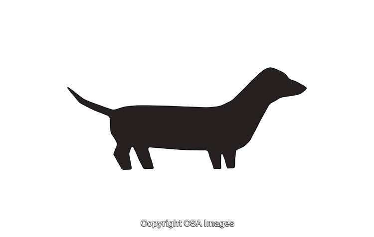 Minimalist Silhouette Icon of a Dachshund Dog in Profile