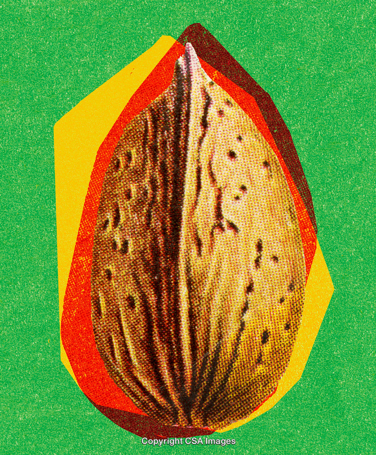 Abstract Artistic Representation of a Nut Close-Up on Vibrant Background