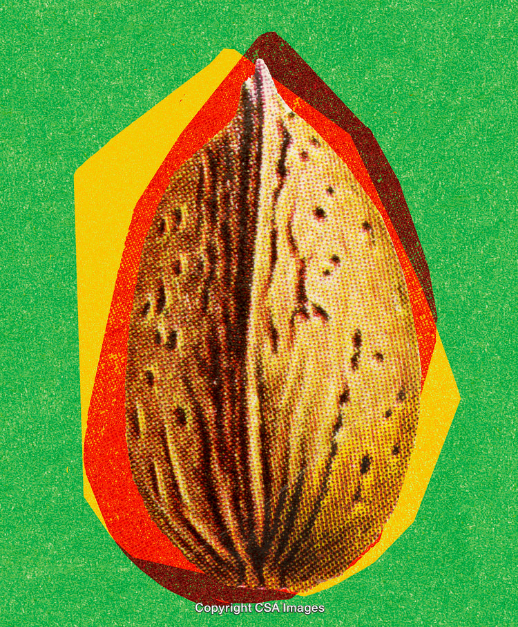 Abstract Artistic Representation of a Nut Close-Up on Vibrant Background