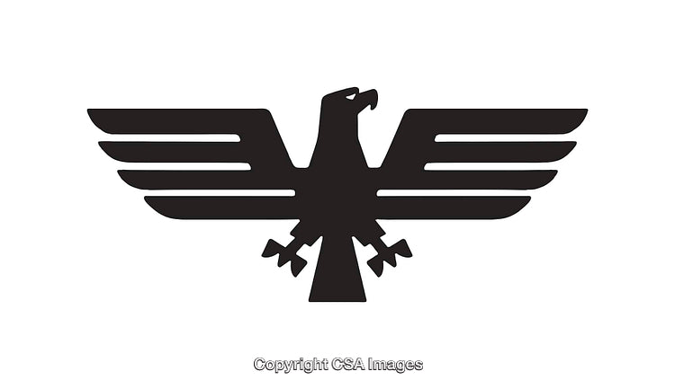Black and White Line Art Illustration of an Eagle Emblem