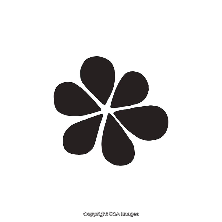 Abstract Black Flower Silhouette Design On a White Background