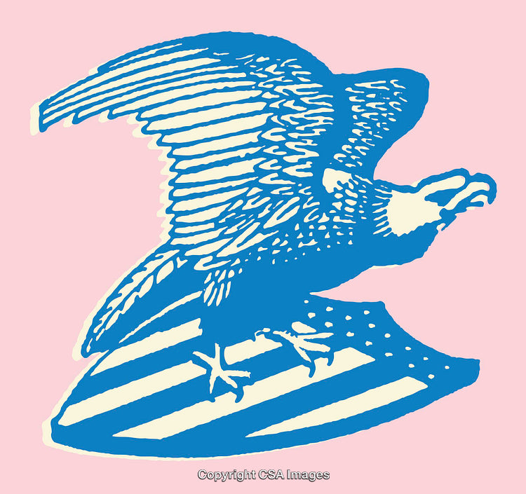 Blue Eagle Line Art on Pink Background with Patriotic Design
