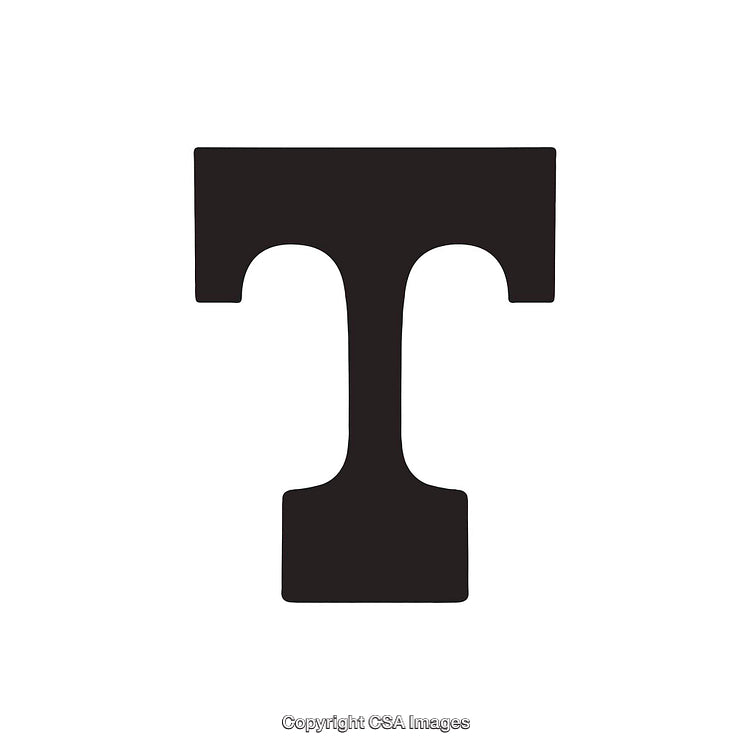 Bold Black Letter T on Clean White Background