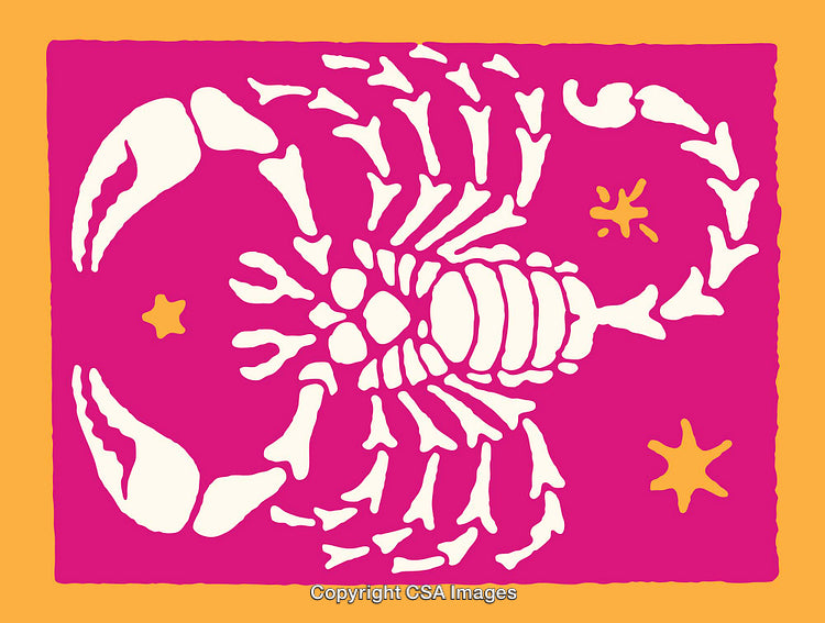 Colorful Scorpion Illustration with Bold Bright Design and Unique Patterns