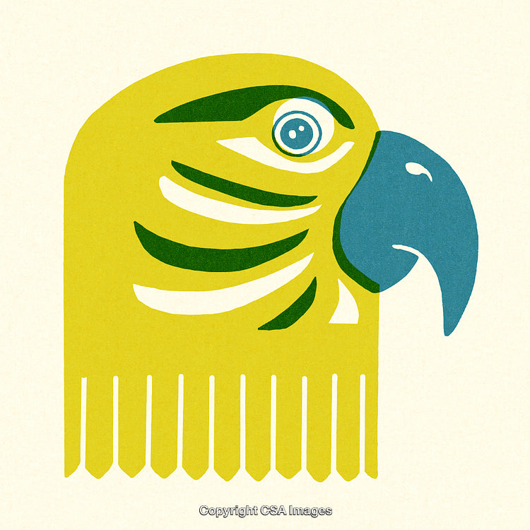 Colorful Artistic Illustration of a Parrot Head in Profile View
