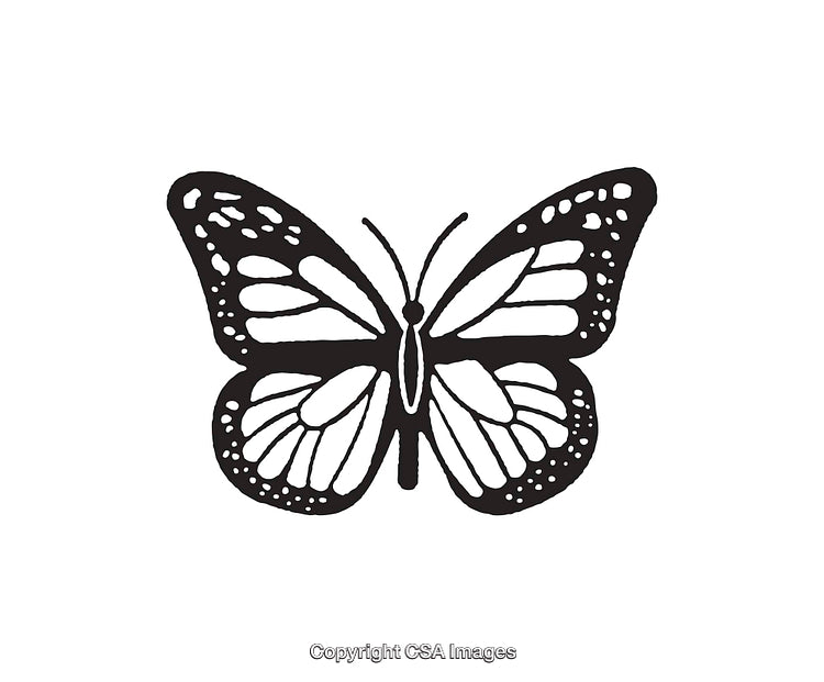 Black And White Line Art Illustration of a Butterfly Design