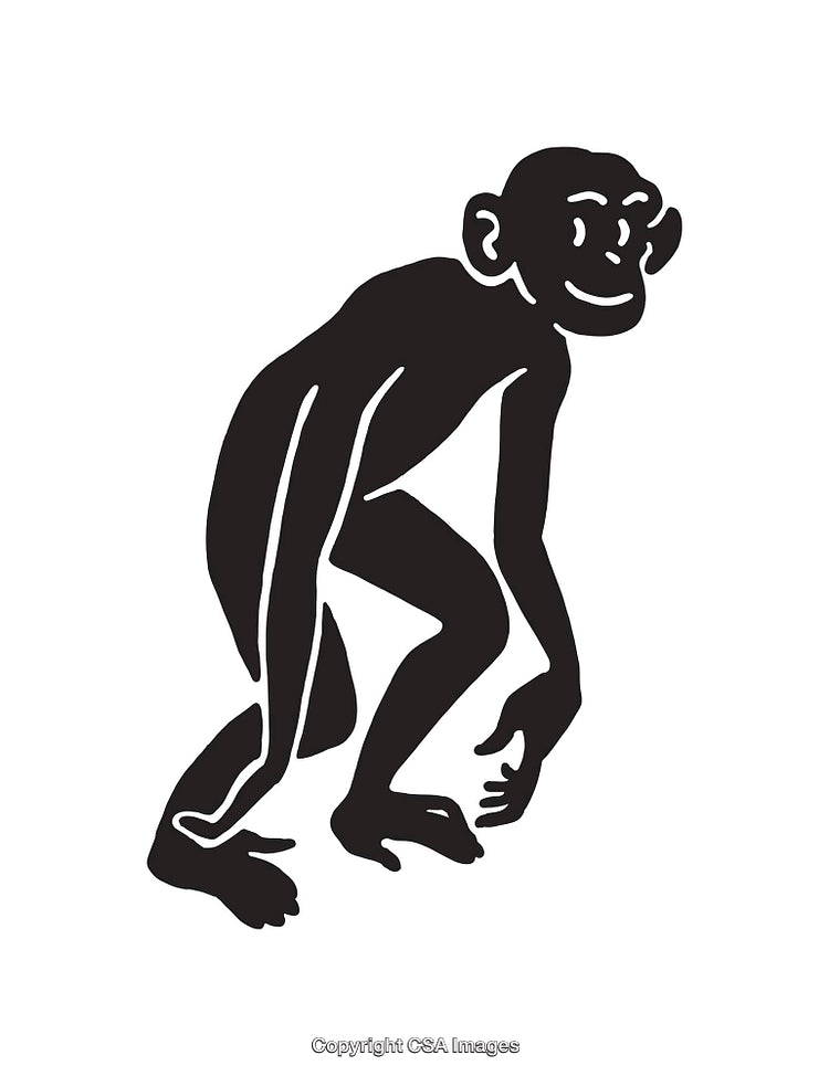 Abstract Black and White Line Art Illustration of a Primate Silhouette