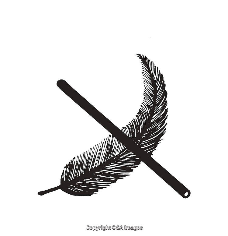 Black And White Line Art Illustration of a Feather and Rod Design