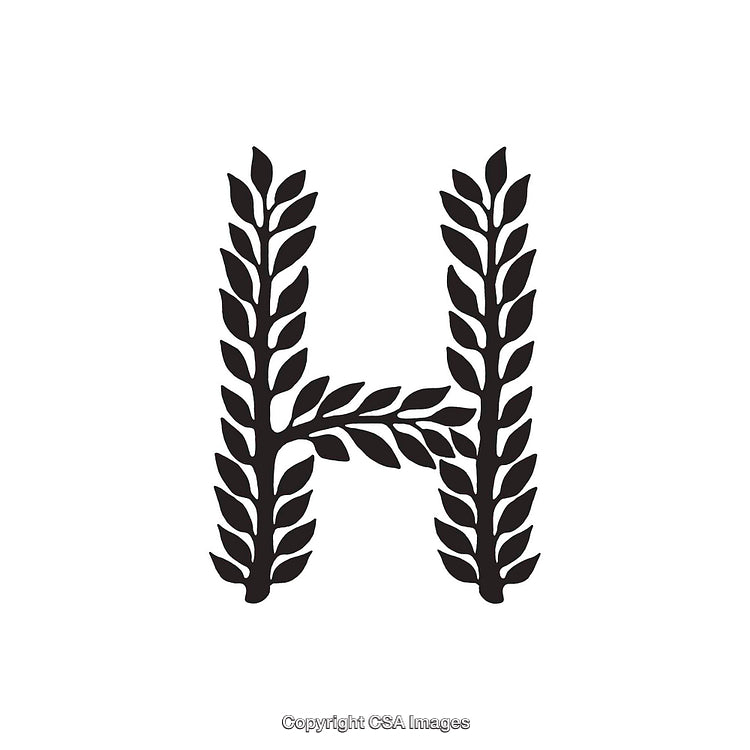 Elegant Black Laurel Letter H on White Background