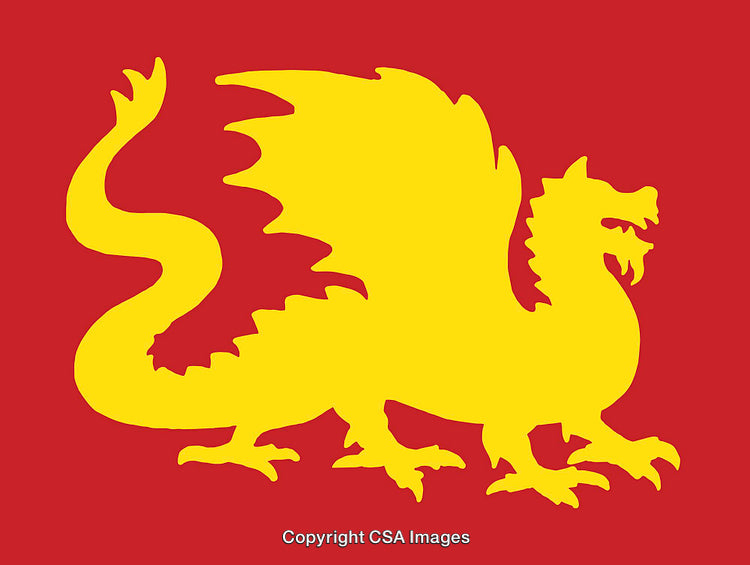 Yellow Dragon Silhouette on a Red Background Depicting Mythical Strength