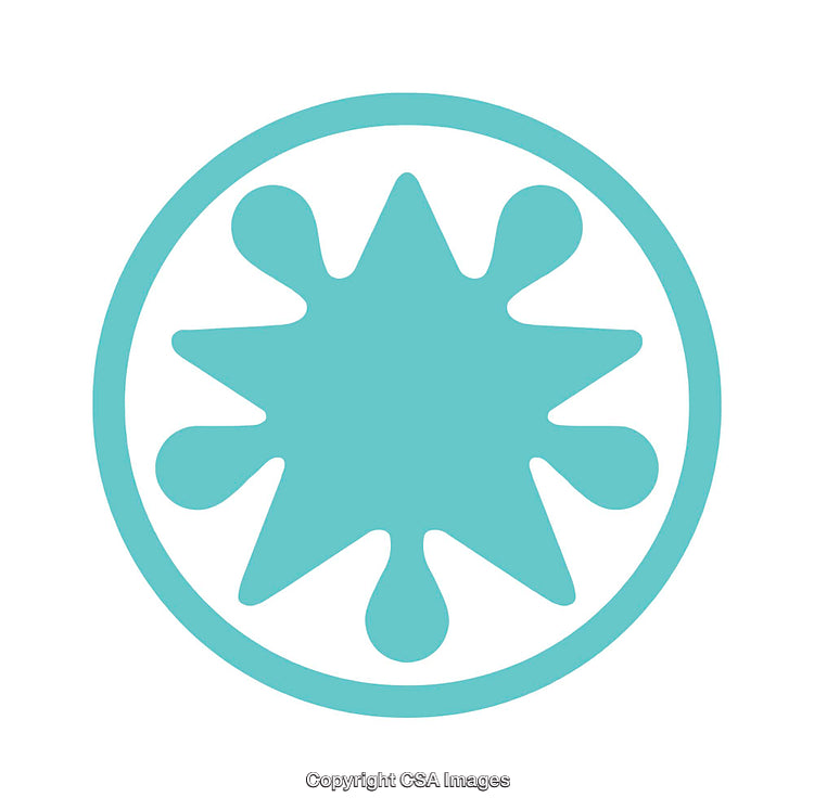 Turquoise Starburst Symbol Icon with Circular Border on White Background