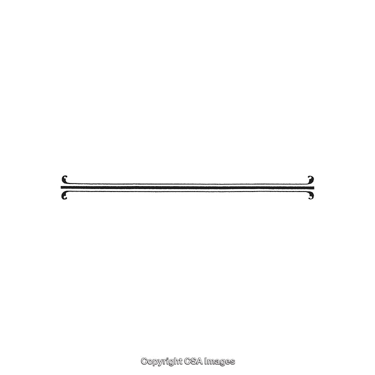 Decorative Black and White Ornamental Divider with Curled Ends