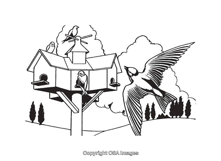 Black and White Drawing of Birds at a Decorative Birdhouse