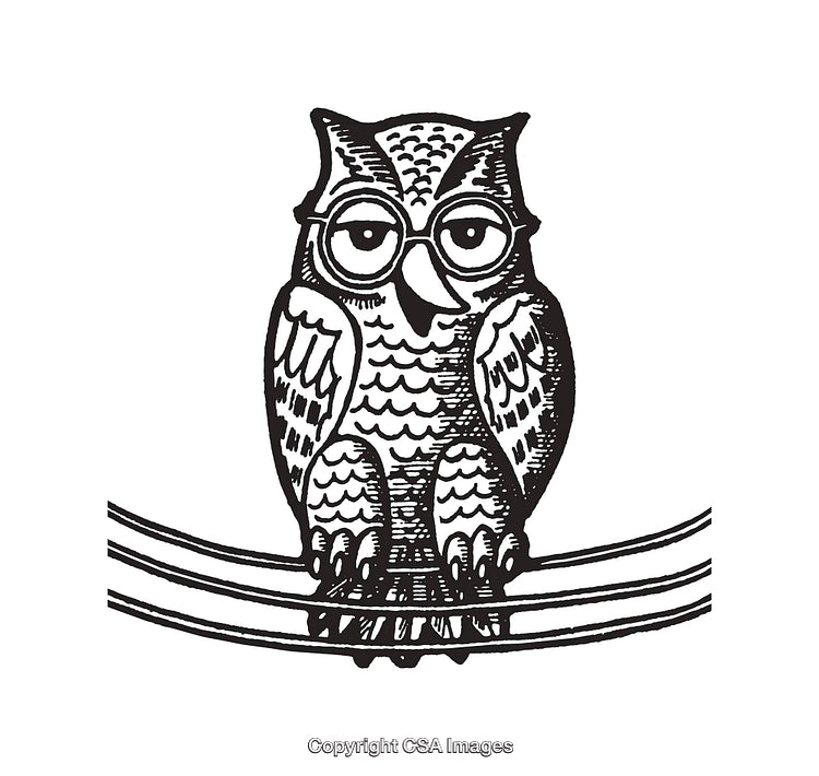 Intricate Black and White Line Art Illustration of a Wise Owl