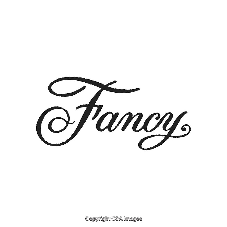 Elegant Calligraphy Text Featuring the Word Fancy on a White Background