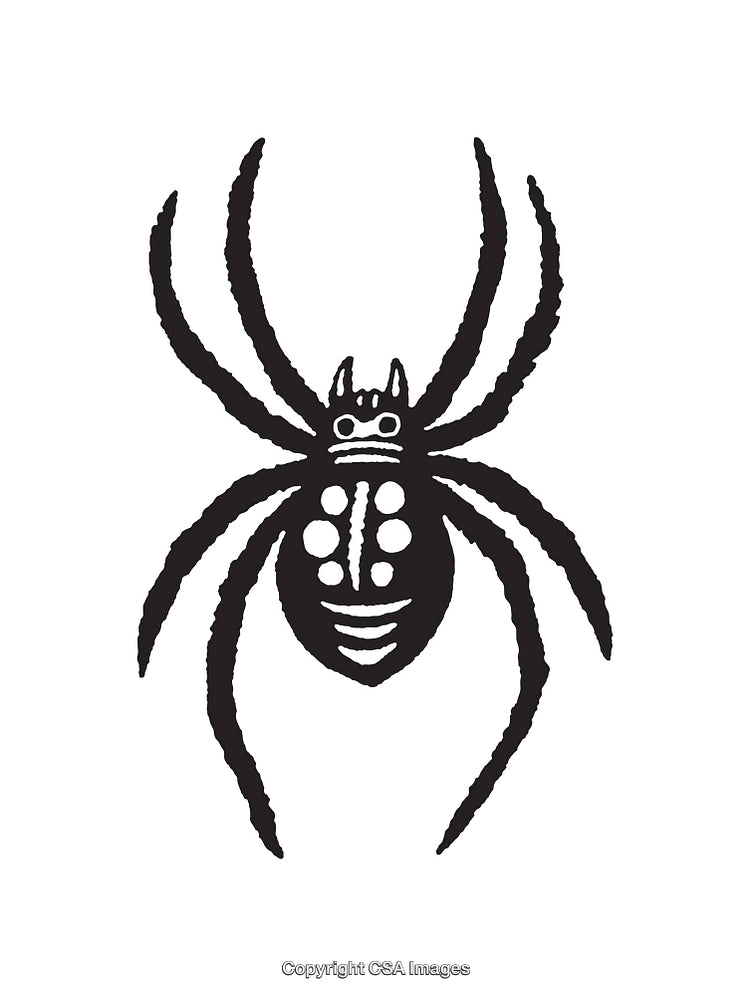 Black and White Line Art Illustration of a Unique Spider Design