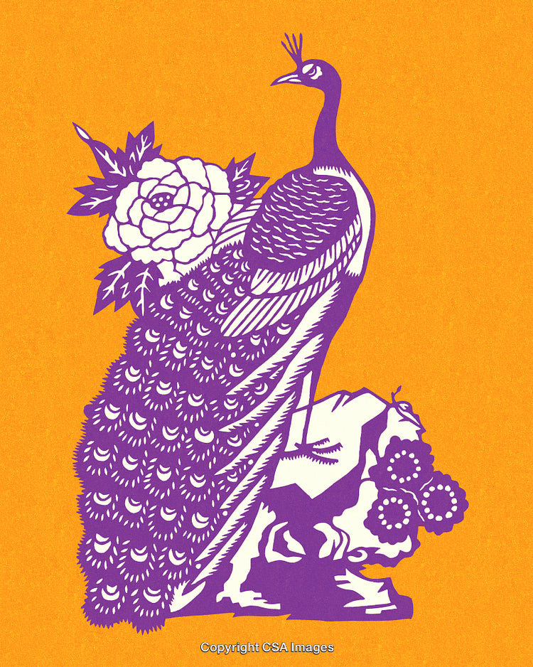 Purple Peacock Illustration With Floral Details on Bright Orange Background