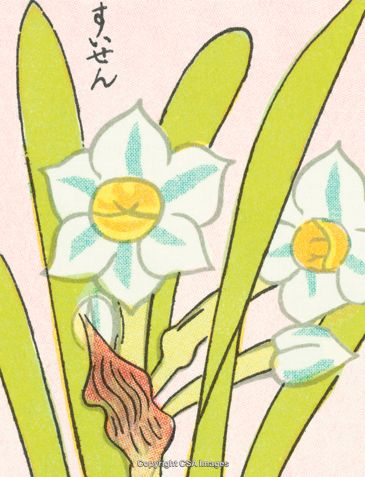 Illustrated Narcissus Flowers with Leaves in Japanese Artistic Style