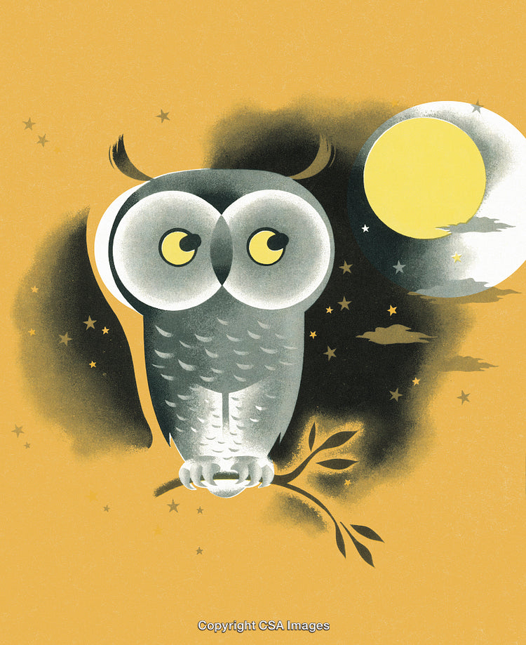 Illustration of a Cartoon Owl Under the Bright Full Moon at Night