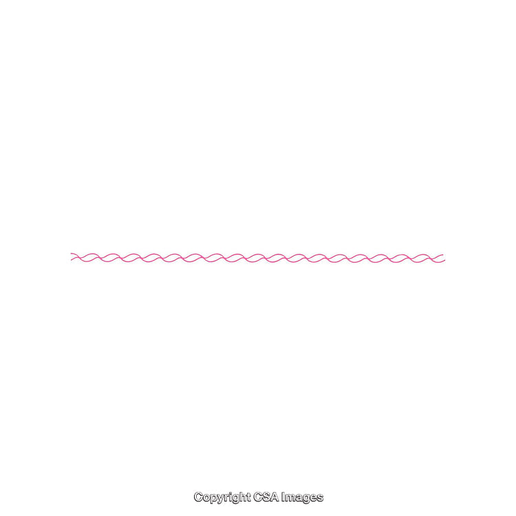Pink Wavy Line Element on White Background for Decorative Designs