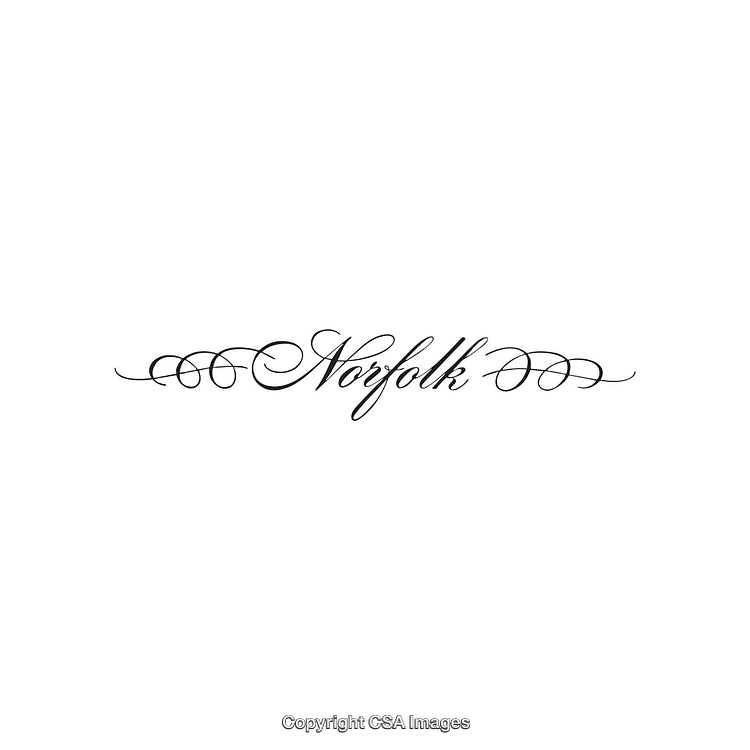Elegant Calligraphy Norfolk Design with Decorative Swirls on White Background