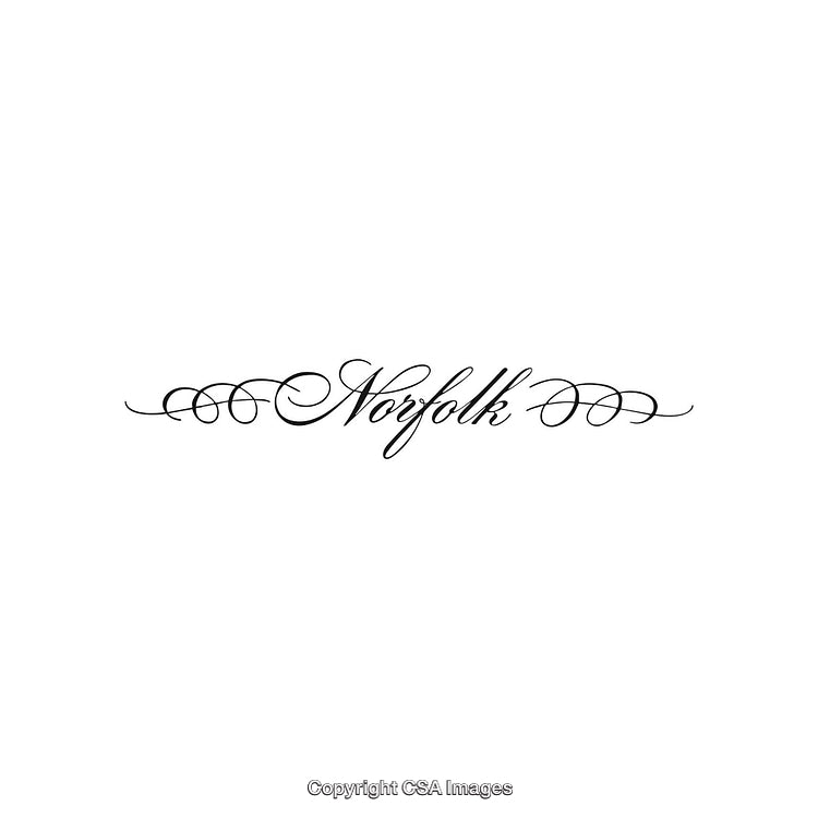 Elegant Calligraphy Norfolk Design with Decorative Swirls on White Background