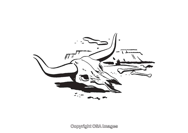 Black and White Line Art of a Bull Skull in Desert Scenery