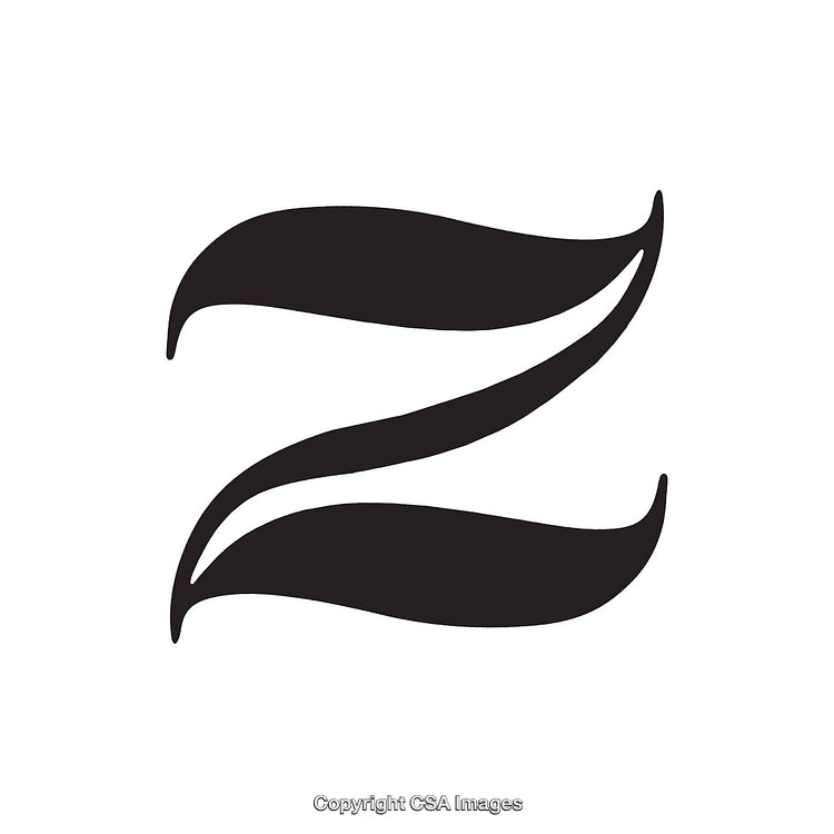 Stylized Black Letter Z With Elegant Curved Design on White Background