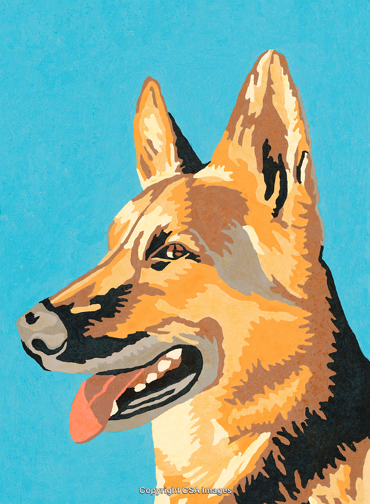 Colorful Paint by Numbers German Shepherd Illustration with Bright Background