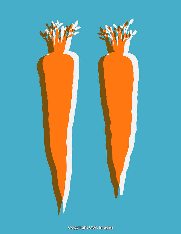 Colorful Carrot Line Art Illustrations on a Blue Background