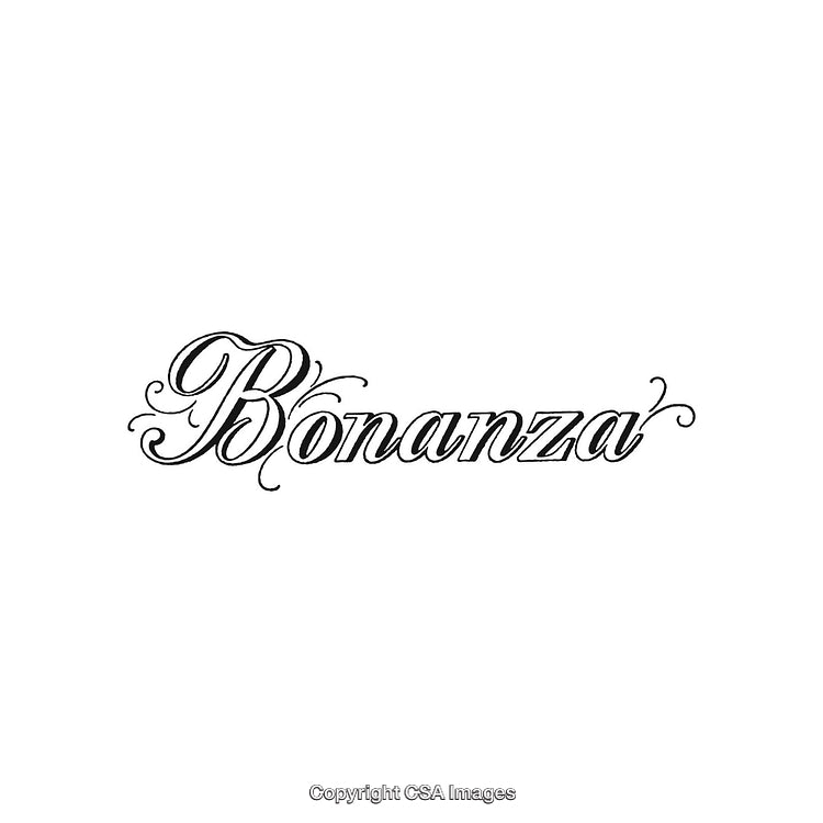 Elegant Bonanza Logo Design with Swirling Decorative Calligraphy in Black