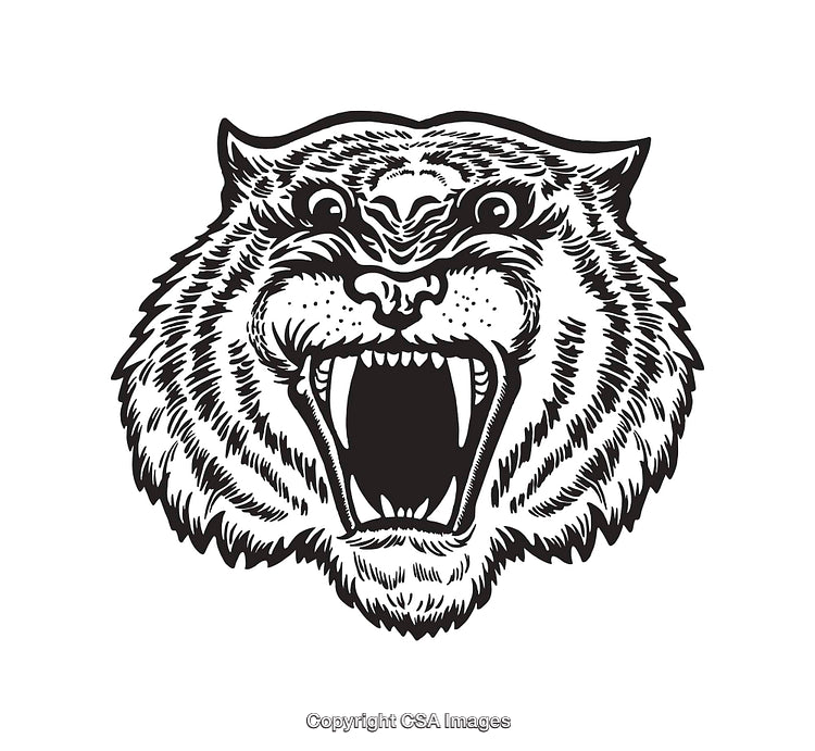 Fierce Black and White Tiger Head Line Art Illustration