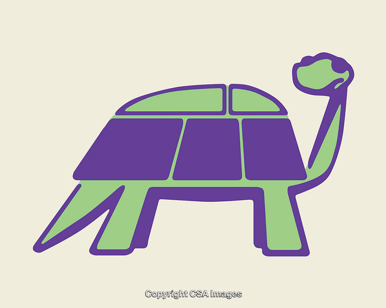 Stylized Line Art Illustration of a Tortoise in Green and Purple