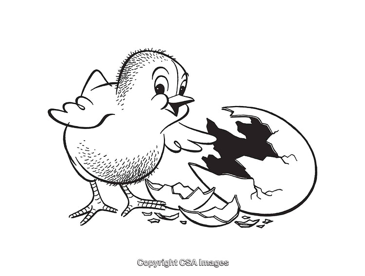 Chick Emerging from Egg in Black and White Line Art
