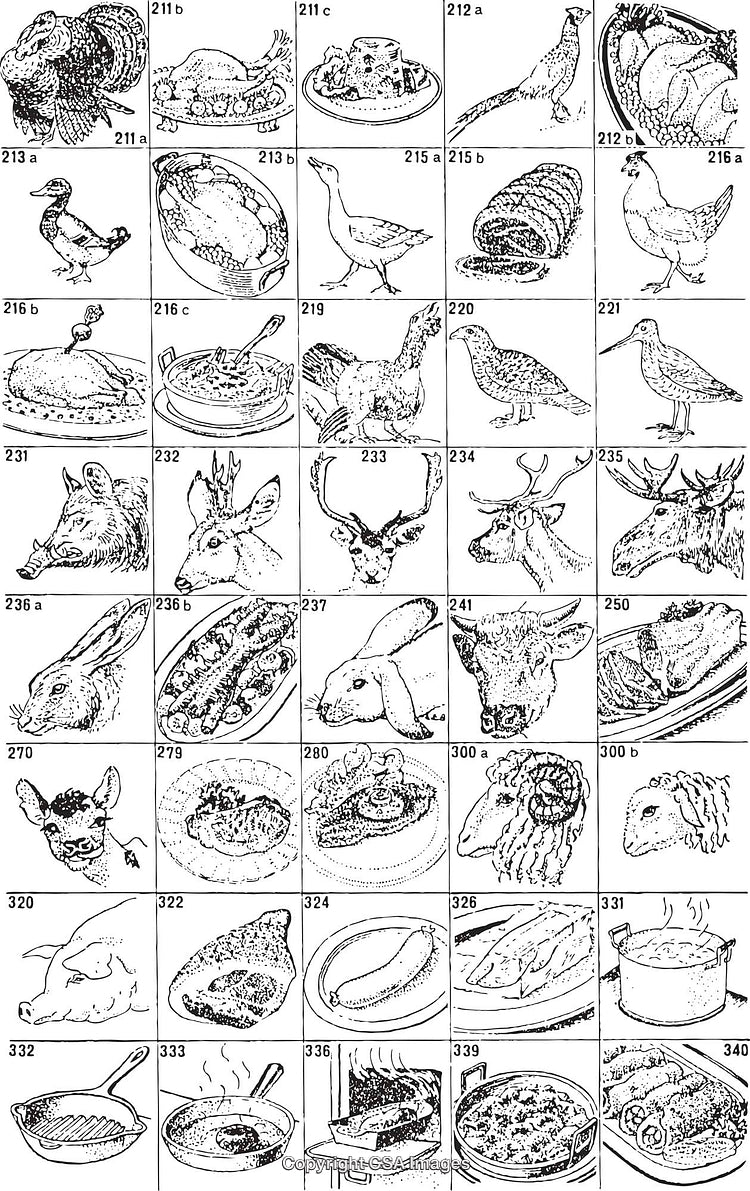Collection of Black and White Illustrations of Animals and Culinary Dishes