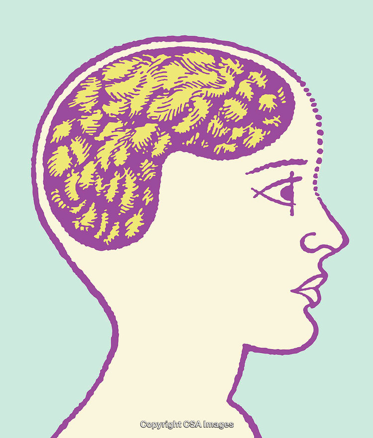 Profile Illustration of Human Head with Brain in Colorful Artistic Style