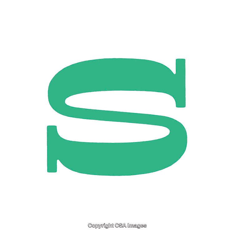 Stylized Green Letter S on a White Background