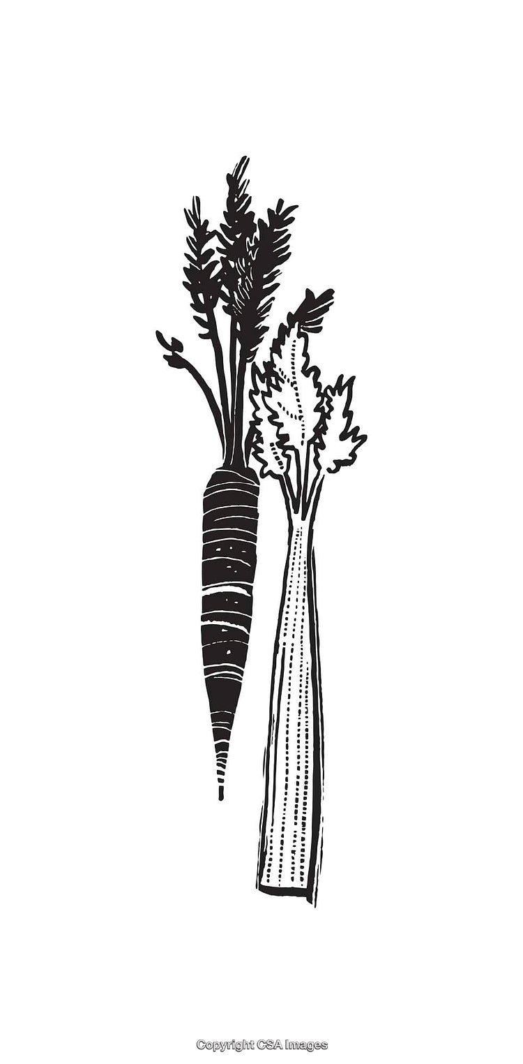 Black and White Illustration of Carrot and Celery Vegetables